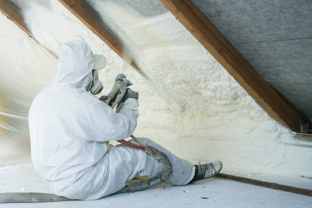 Best Insulation for Metal Buildings  in Hampton, AR