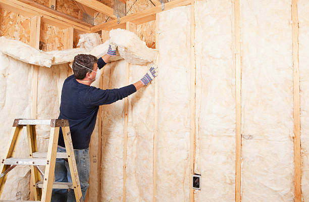 Best Wall Insulation Installation  in Hampton, AR