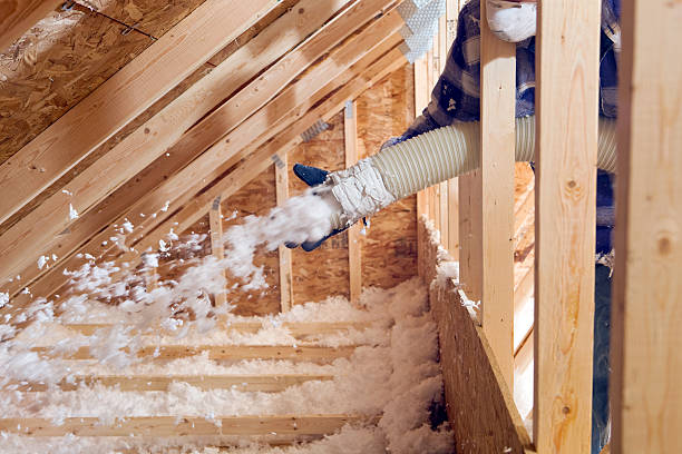 Best Eco-Friendly Insulation Solutions  in Hampton, AR